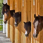 Hotel Trattlerhof 4*