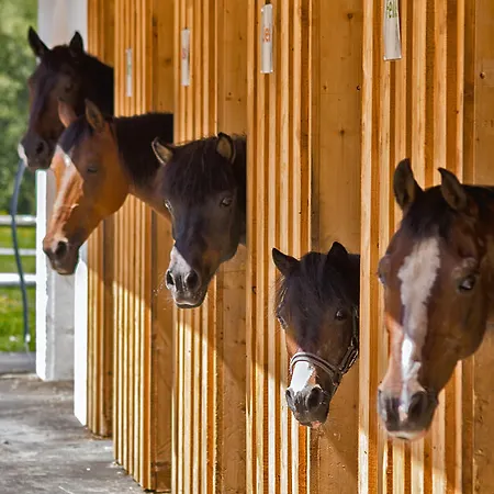 Hotel Trattlerhof 4*