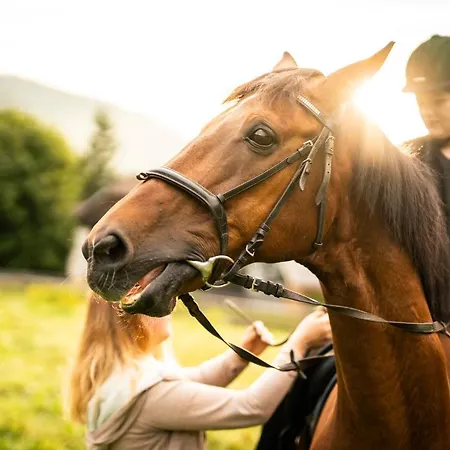 호텔 트라타호프