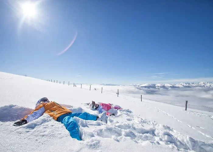 特拉勒霍夫酒店 巴德小基希海姆