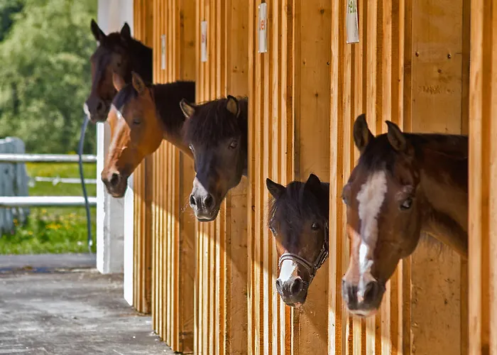 Hotel Trattlerhof 4*